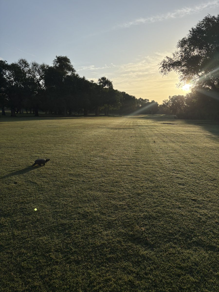 ChadParron's tweet image. Pace of play is a little slow this morning.