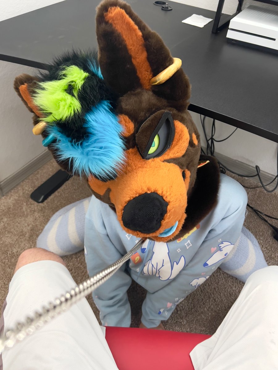 Smol Tall-Eared @ TFF tweet media