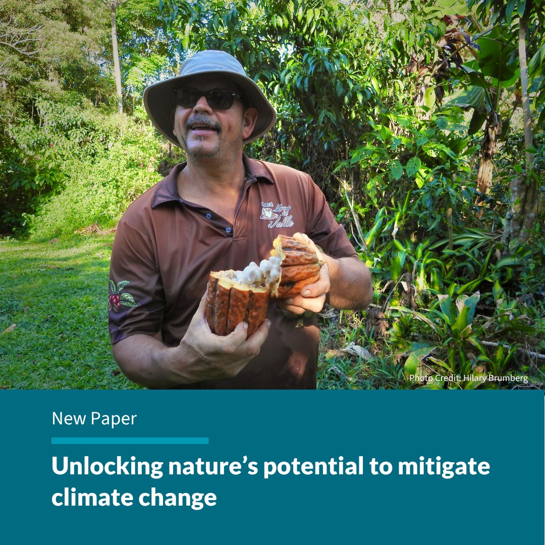 Unlocking Nature’s Potential to Mitigate Climate Change #NewPaper

Read the story: bit.ly/4eifwCf

Despite growing global commitments, uptake of natural #climate solutions remains slow. Researchers found effective implementation needs integrated, cross-sector strategies.