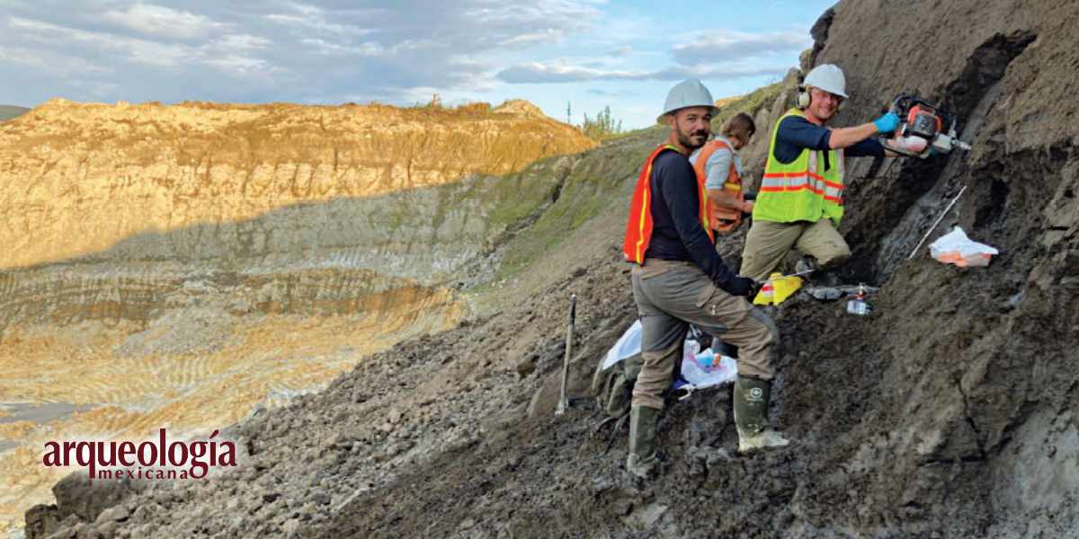 🧬 El estudio de ADN antiguo está revolucionando lo que sabemos sobre salud humana, agricultura y cambio climático.
Desde el Yukón hasta los trópicos, su potencial crece.
📸Equipo recolectando sedimentos en los campos de oro de Klondike en Yukón, Canadá
🔗 arqueologiamexicana.mx/mexico-antiguo…