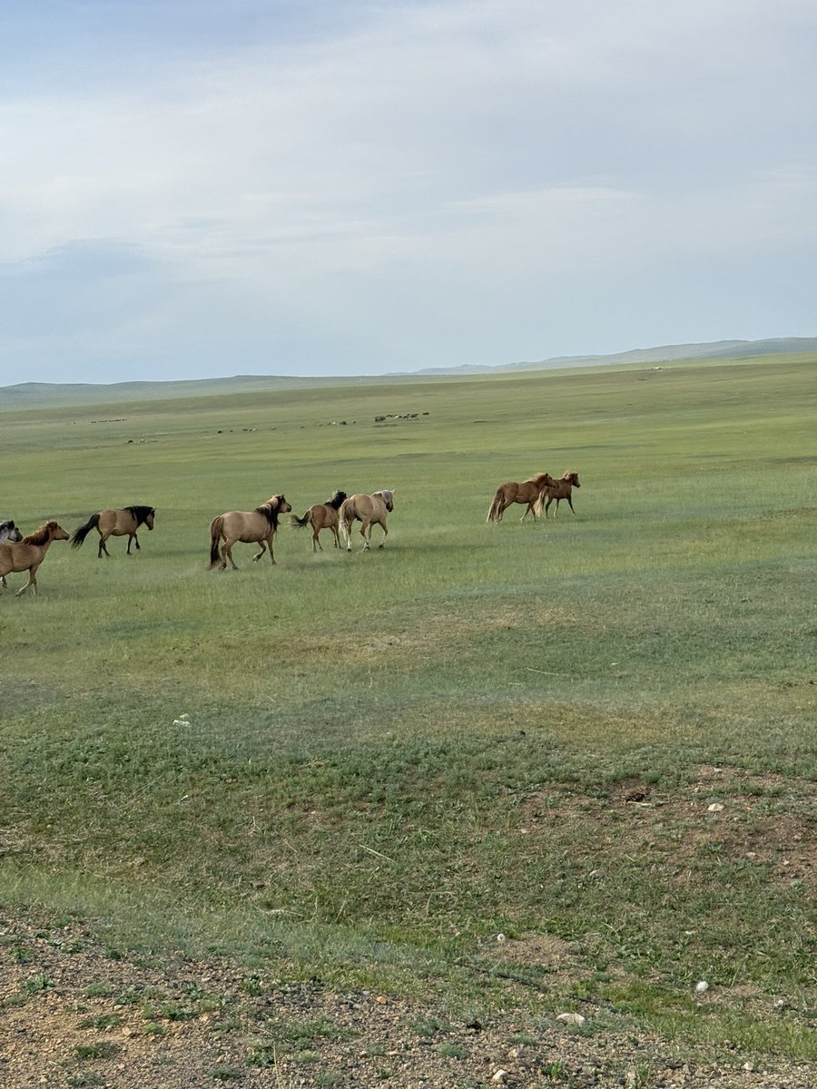 Өглөөний мэнд