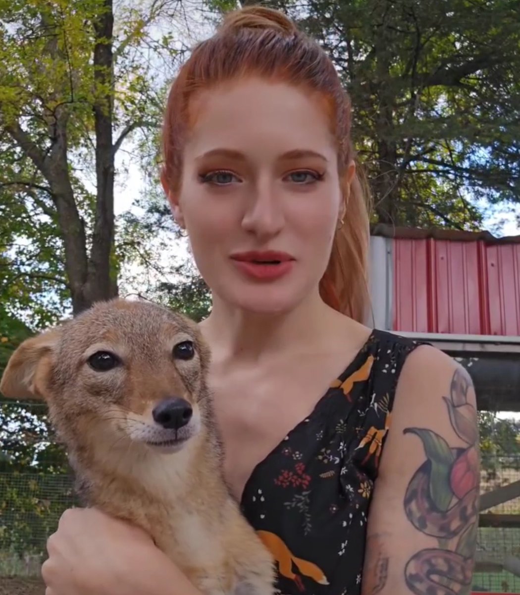 After reading the story today of a young woman who rescued foxes, taking her own life due to online harassment and bulling, it hasn’t left my mind. 

Mikayla Raines was pushed too far by bullies. 
We have been tagged many times in the posts Because we too have been the target of