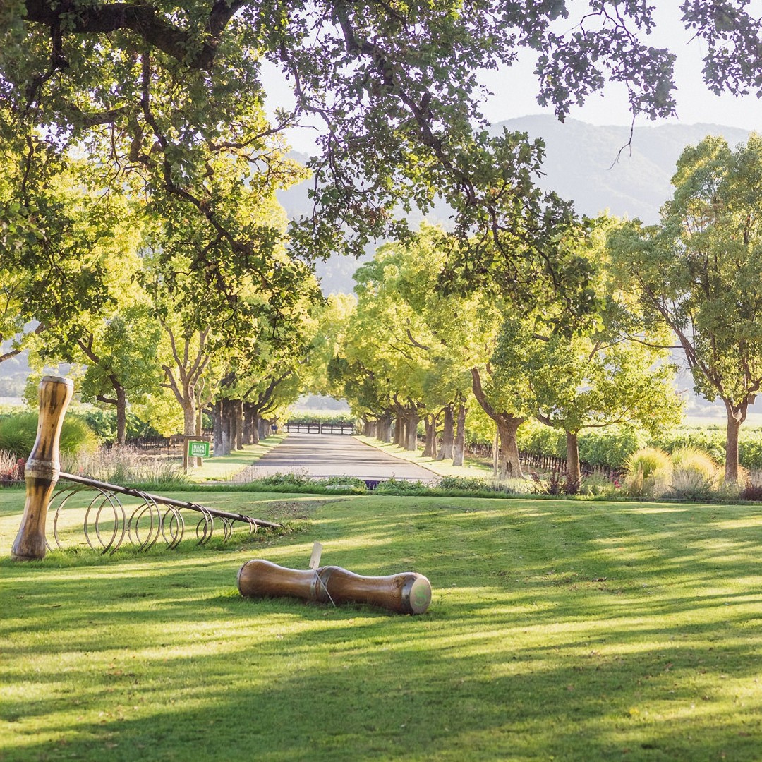 Plan a summer visit to Napa Valley. We will be waiting at the end of our tree lined drive here in Rutherford. Learn more: bit.ly/3I2xF7f @visitnapavalley