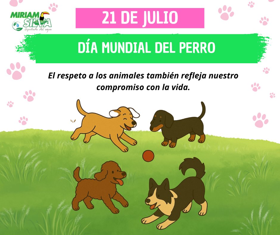 🐾 Respetar a los seres sintientes es parte de nuestra lucha por un mundo justo y sostenible.
#MiriamSilva #DiputadaDelAgua #PVEM #Ecatepec