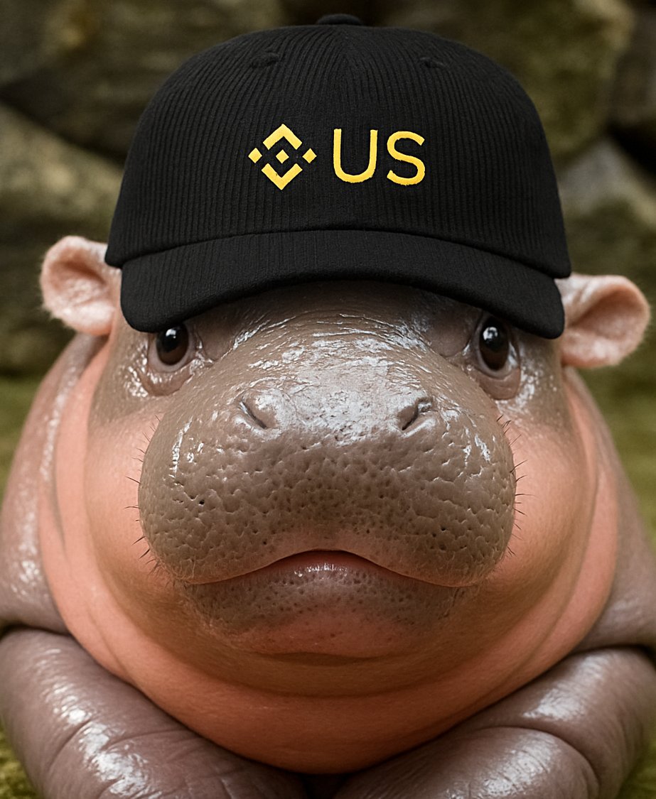 Binance.US 🇺🇸 tweet media