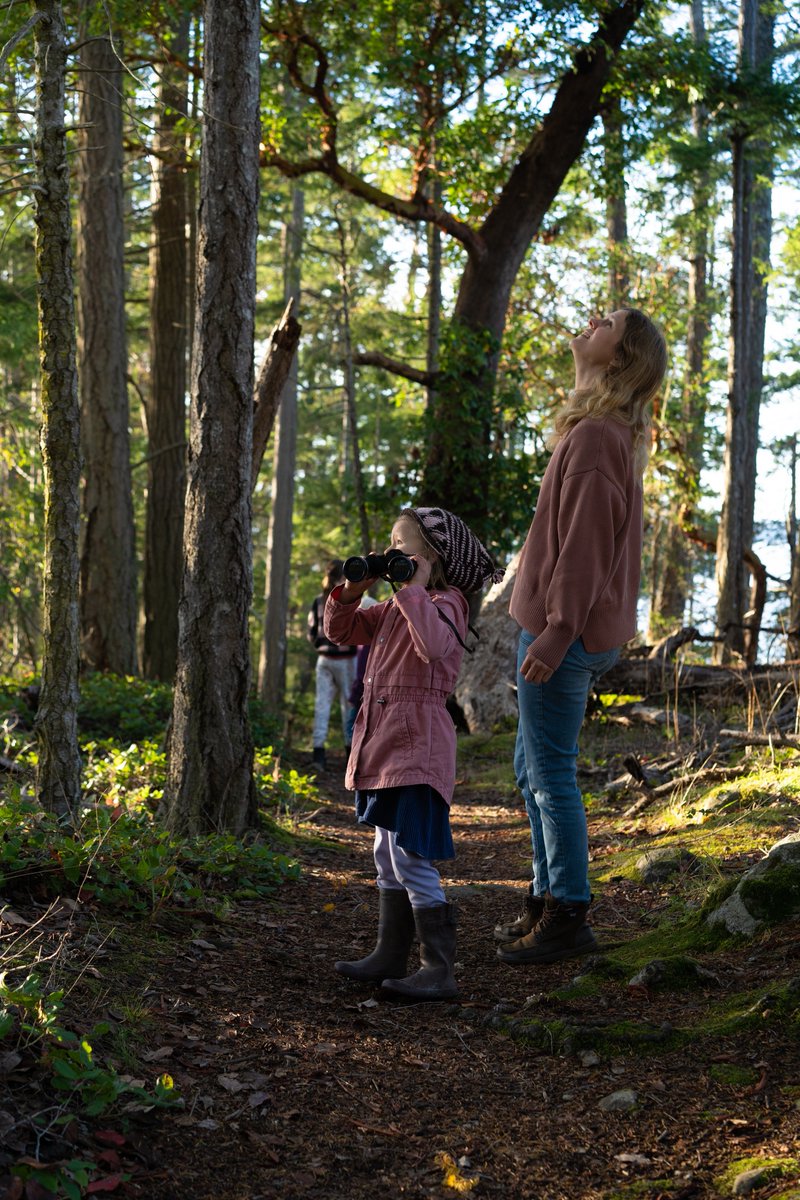 The BC Bird Trail tweet media