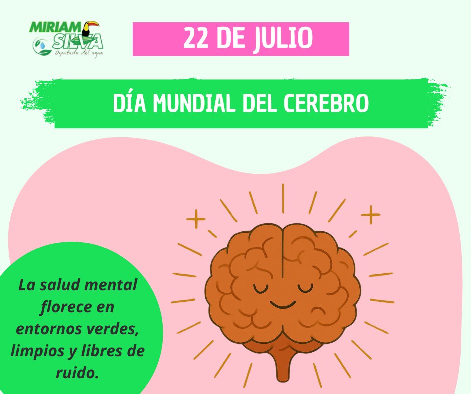 🧠 La salud mental florece en espacios limpios, verdes y en armonía con la naturaleza.
#MiriamSilva #DiputadaDelAgua #PVEM #Ecatepec
