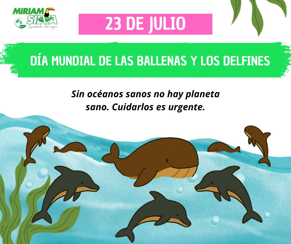 🌊 Sin océanos sanos, no hay planeta posible. ¡Cuidémoslos!
#MiriamSilva #DiputadaDelAgua #PVEM #Ecatepec