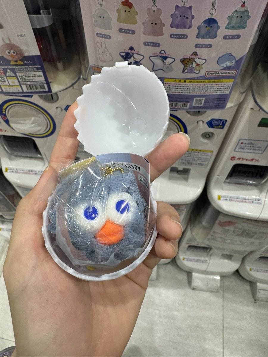 7__boshi's tweet photo. 可愛いものいっぱい🧸 https://t.co/4sThyGmfaz