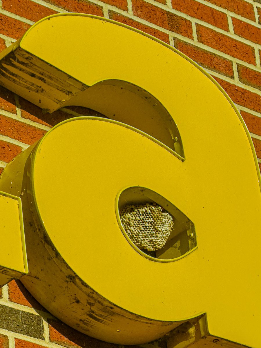 Kevin Lankey tweet media