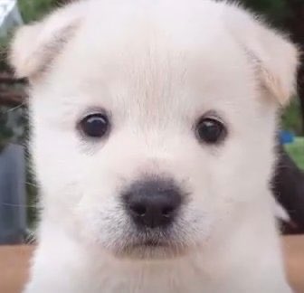 이엥덕 tweet media