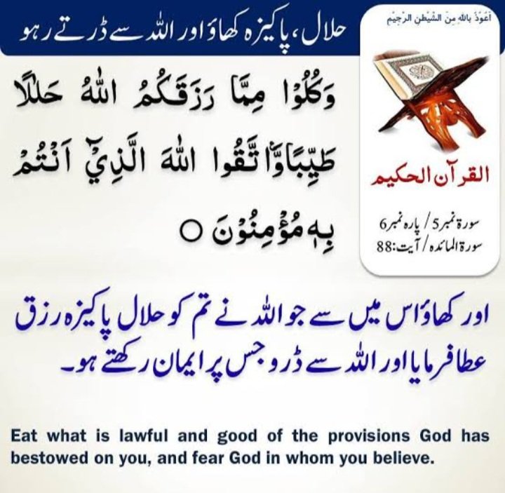 السلام علیکم دوستو ✌️
دن کا آغاز قرآن پاک کے ساتھ ⚘️✨️🌹