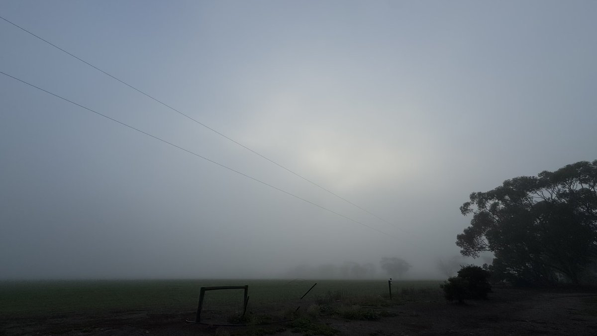 Around the traps recently. 
Sharefarm fam came for a visit from Spain / Singapore. 
Milky Way iPhone pic
9 mile beach 
Foggy morning view..visibility, limited. 
40.5mls rain since Friday - so good!