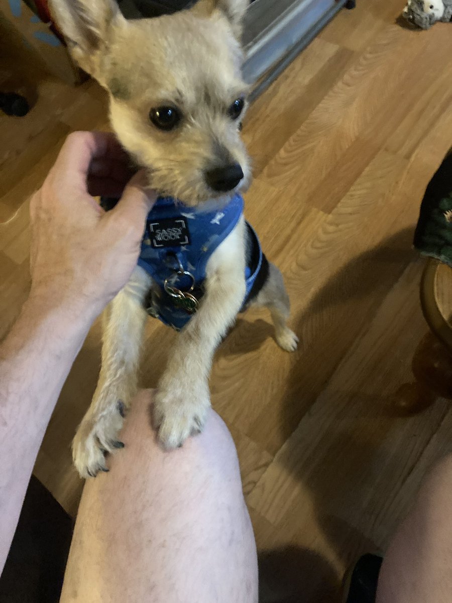 Walt Winston tweet media