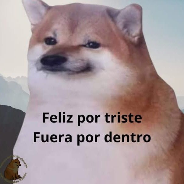 . (@bleusade) on Twitter photo 