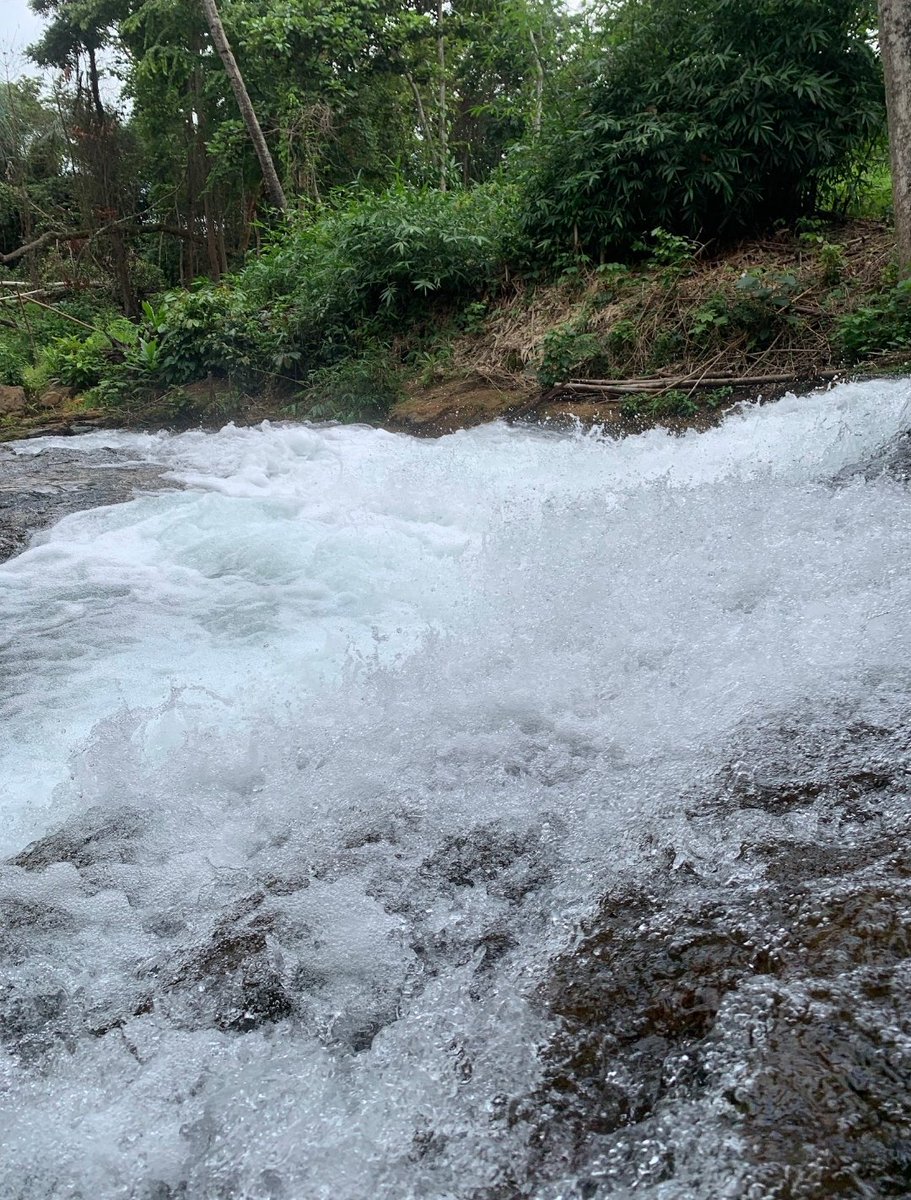 bloodonthechart's tweet image. Today I walked...

Enugu, Nigeria.