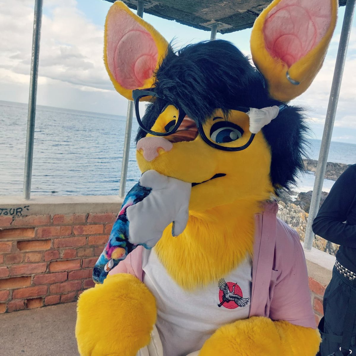 POV the worlds strangest looking seagull swoops down and steals your FIMSH🐟

------
📸: @/Keiz3nn