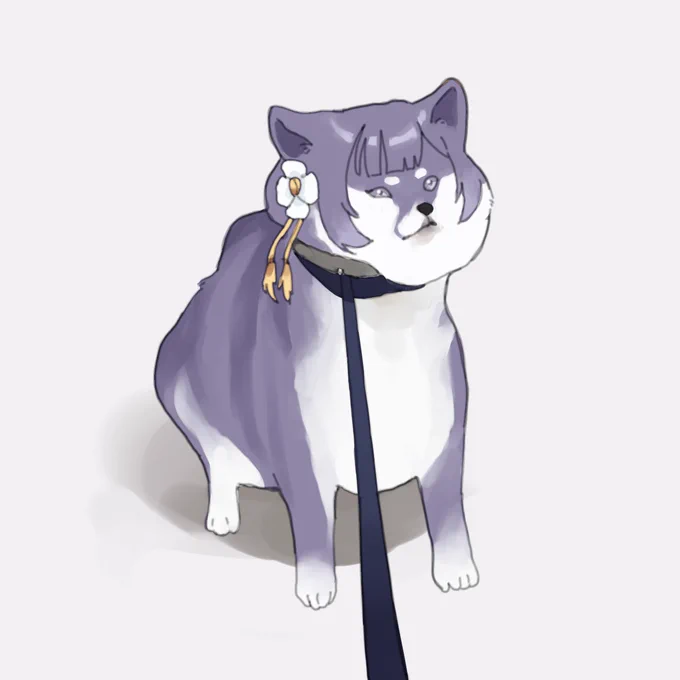 おさんぽ拒否美鈴犬