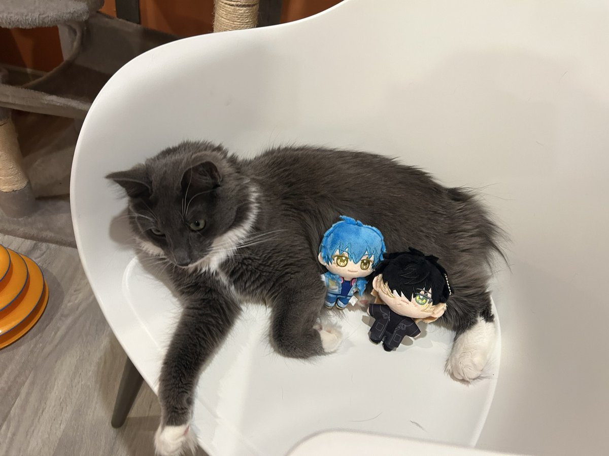 cookie10246's tweet image. #DMMD #SLOWDAMAGE