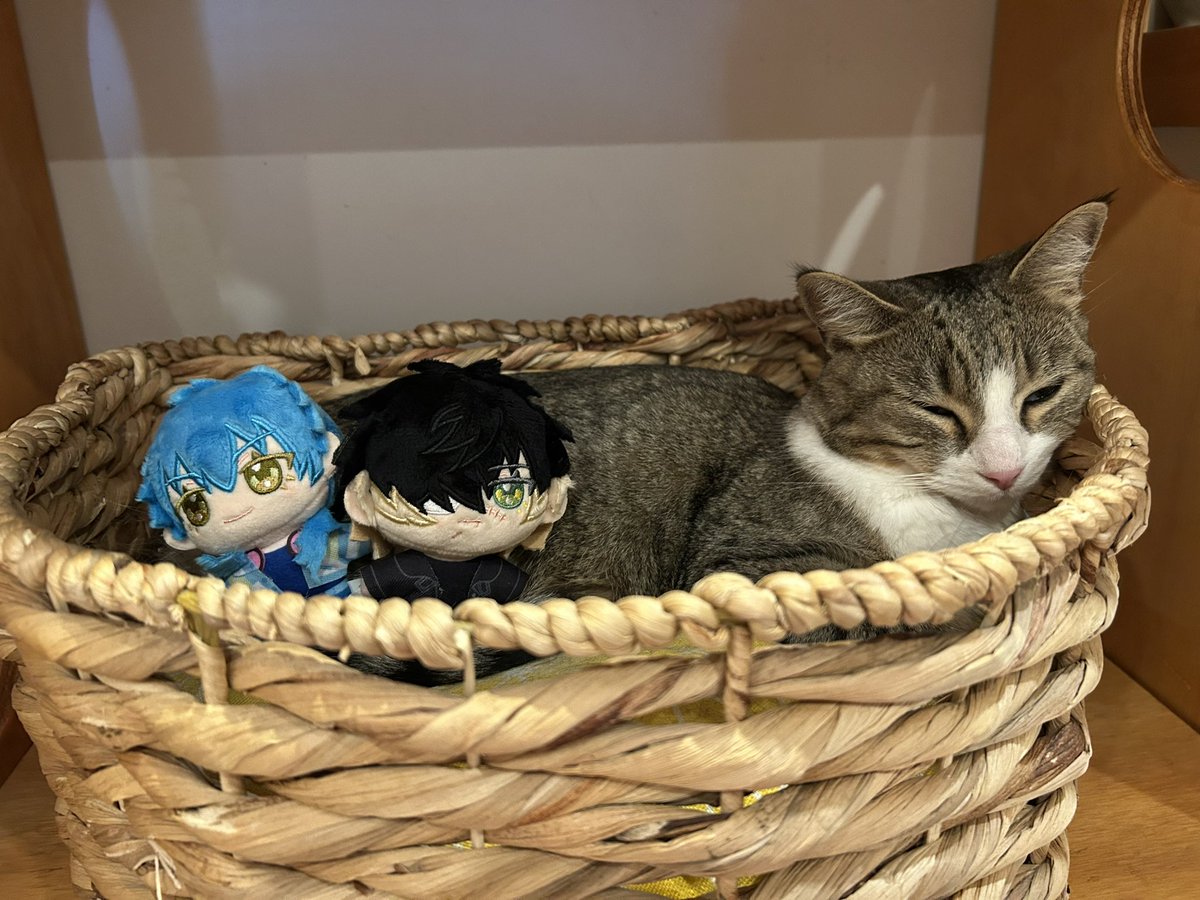 cookie10246's tweet image. #DMMD #SLOWDAMAGE
