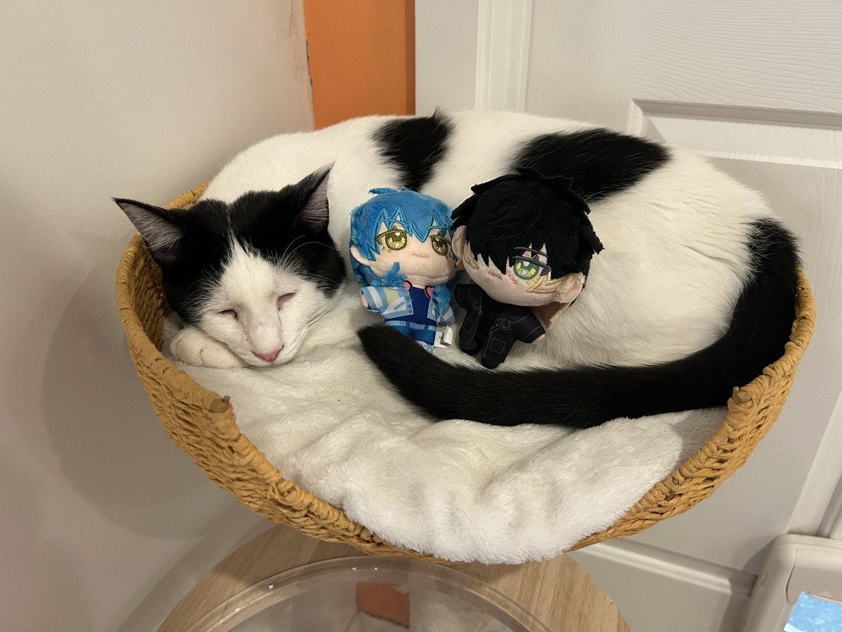 cookie10246's tweet image. #DMMD #SLOWDAMAGE