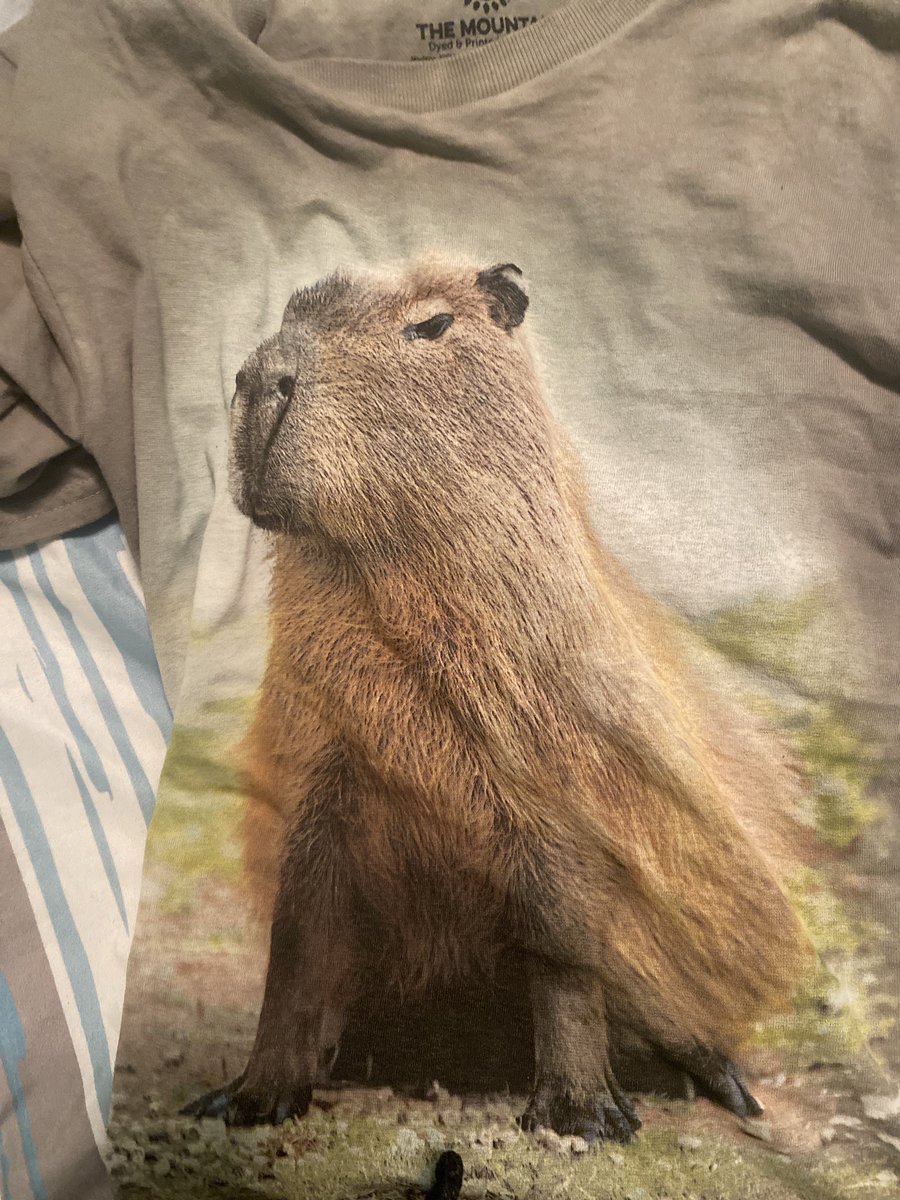 🦝 tweet media