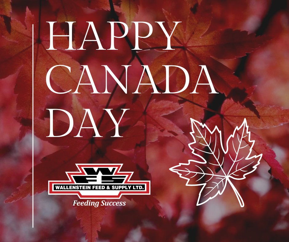 Happy Canada Day, from everyone at WFS!🍁