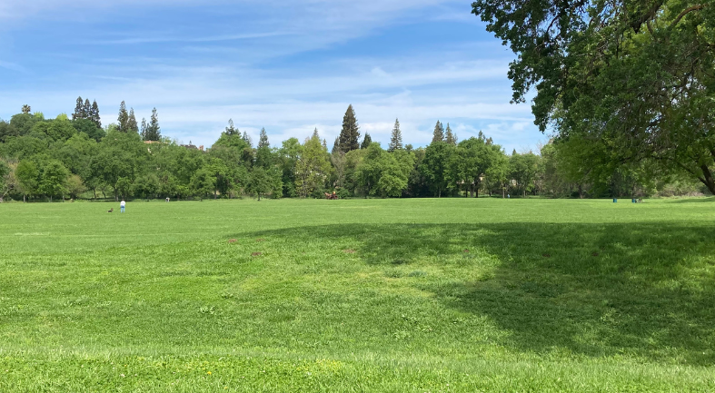 Ancil Hoffman Park will remain closed through the end of July as the road and parking lot repair project continues.

While the park remains closed to general vehicle traffic, access to the Ancil Hoffman Golf Course and Effie Yeaw Nature Center is still available. Limited parking