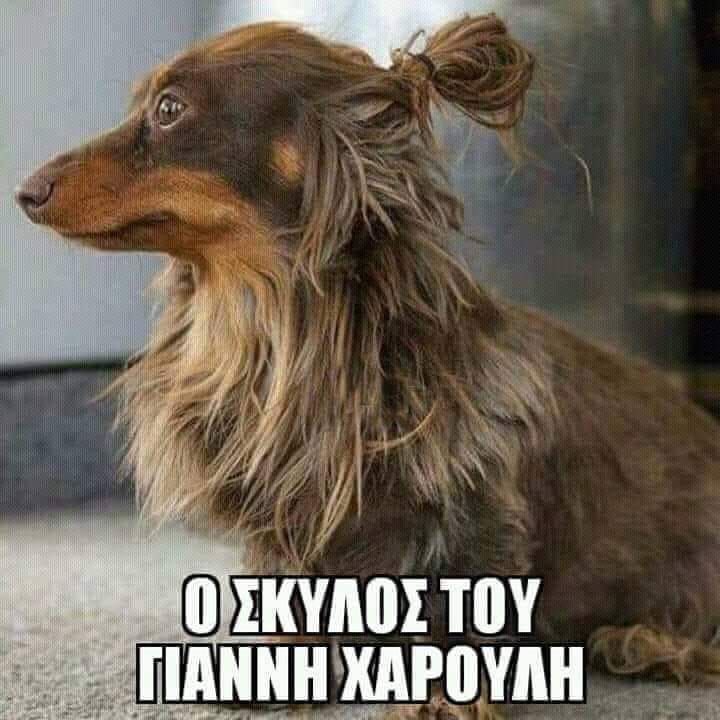 panta_tif's tweet photo. Θα γελάω 4 εικοσιτετράωρα 😂 https://t.co/6rKq8wQDQx