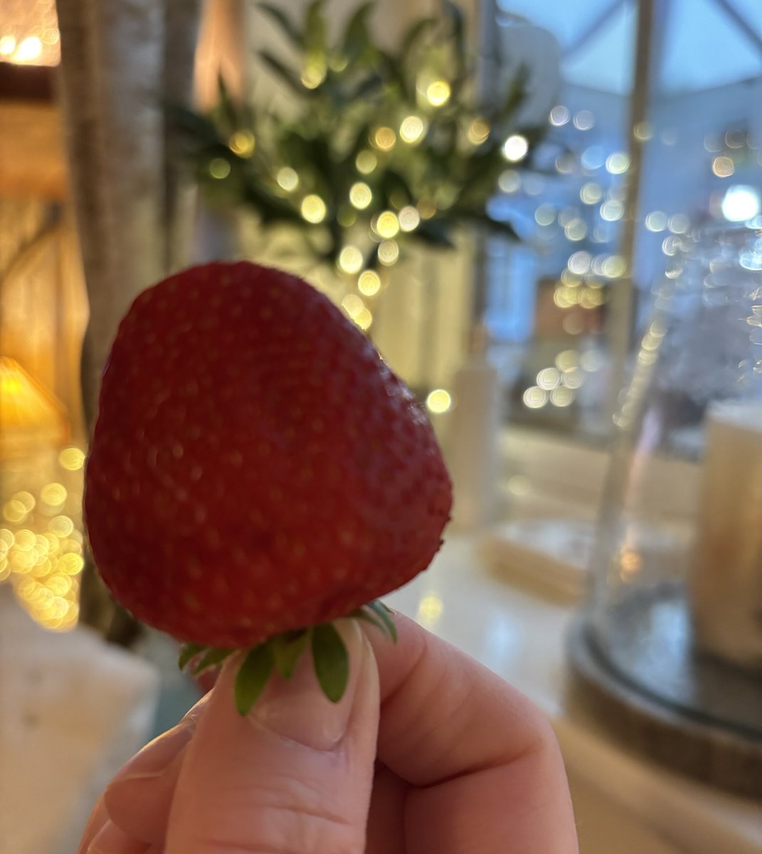 Tara ✨🧚♀️✨ tweet media