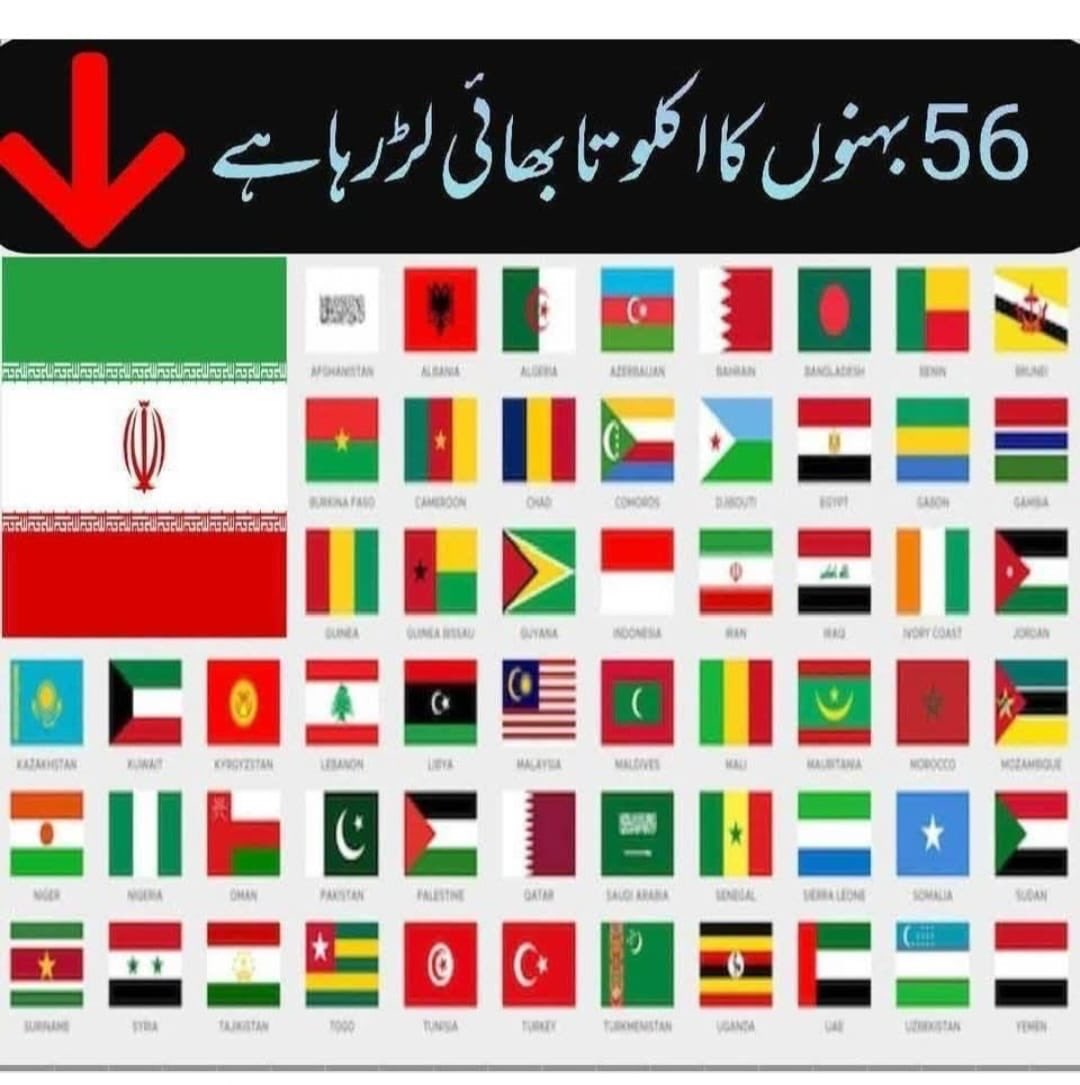 Iran is the only Muslim country facing Israeli forces onslaught