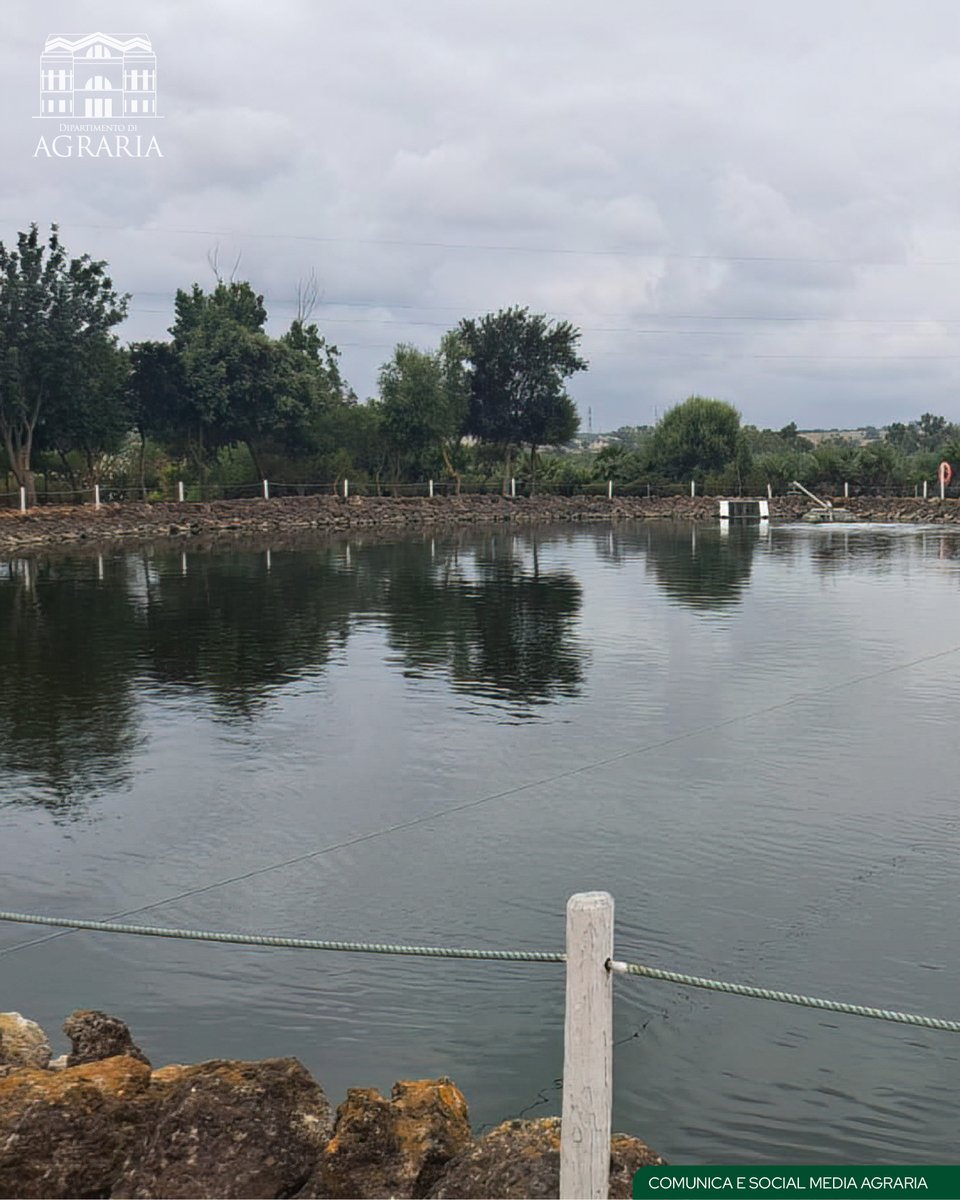 AgrariaUniRC's tweet photo. Dal 2 al 4 giugno si è tenuto in Spagna, il KickOff Meeting del progetto NBS4AQUAMISSION (https://t.co/jNHVyiEaGR) e vede tra i partner il gruppo di Economia Agraria, Alimentare ed Estimo Rurale del Dipartimento di Agraria, guidato dalla Prof.ssa De Luca e dal Dott. Falcone. https://t.co/Vzx83SsArm