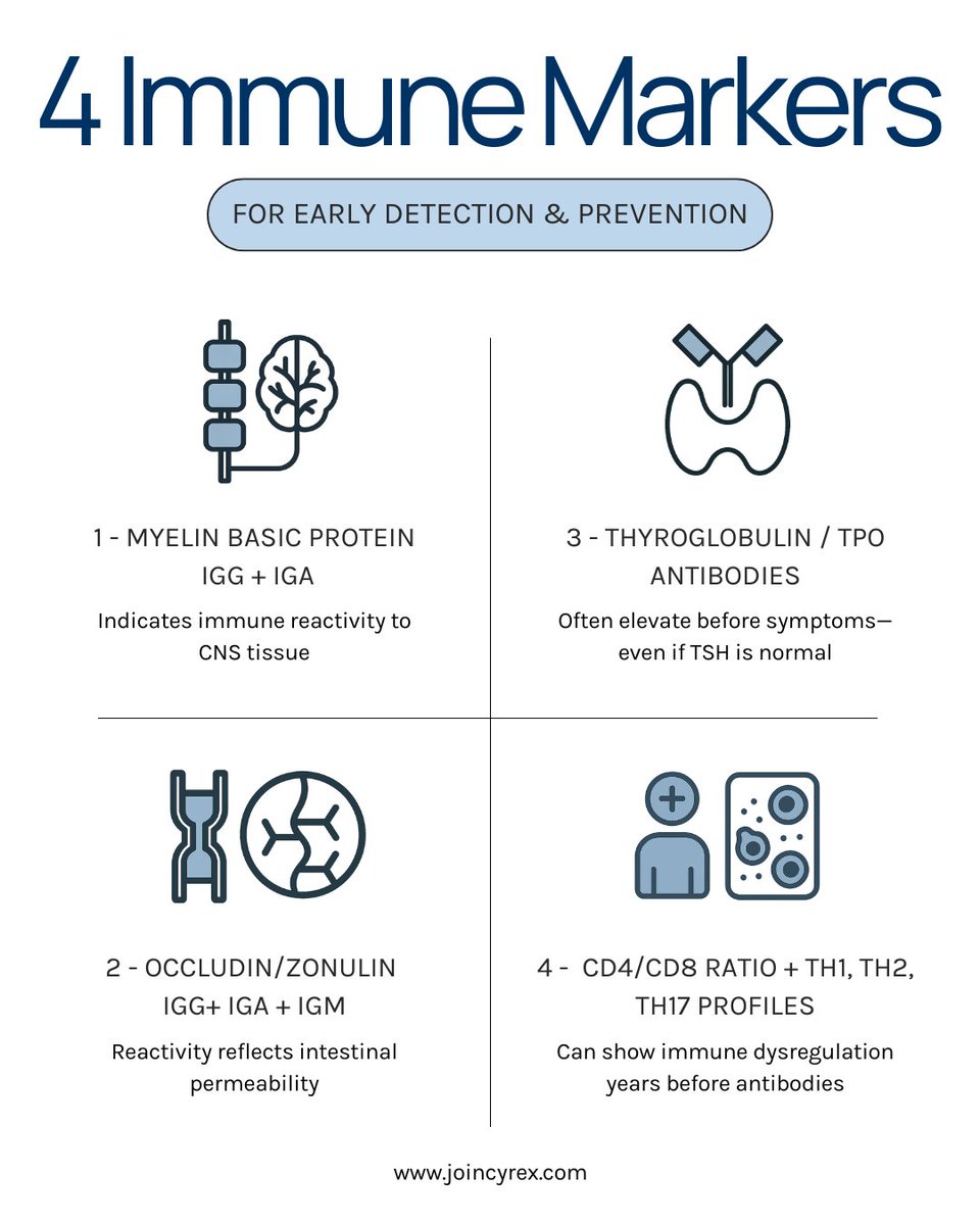 CyrexLabs's tweet image. The immune system speaks long before chronic illness takes hold—you just need the right tools to listen.

These four immune markers are part of Cyrex’s immune-first approach to root-cause care. 

Detect the shift early. Intervene with precision.