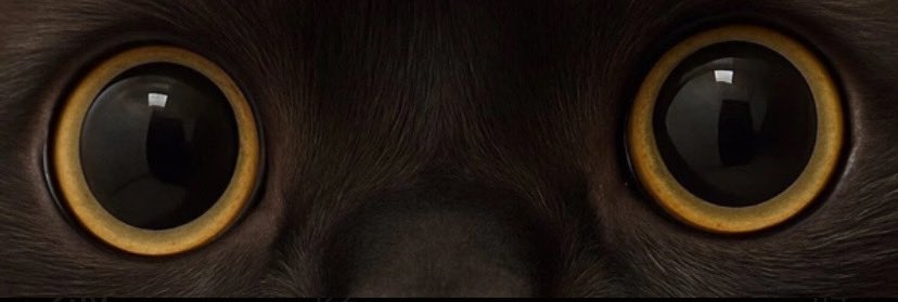 VolatilityPero's tweet photo. @TettomaniaLara_ 
Mate stfu 😂 ,you are dead , not “We” , u crying cause u lost 50 dollars or what ?
Sell 25 dollars and gafoh. We are $Satsuki team here. If u don’t like those beautiful eyes …. U know.. 
#Satsuki 
#I_am_horny_as_fuck https://t.co/inO4aCtsr7