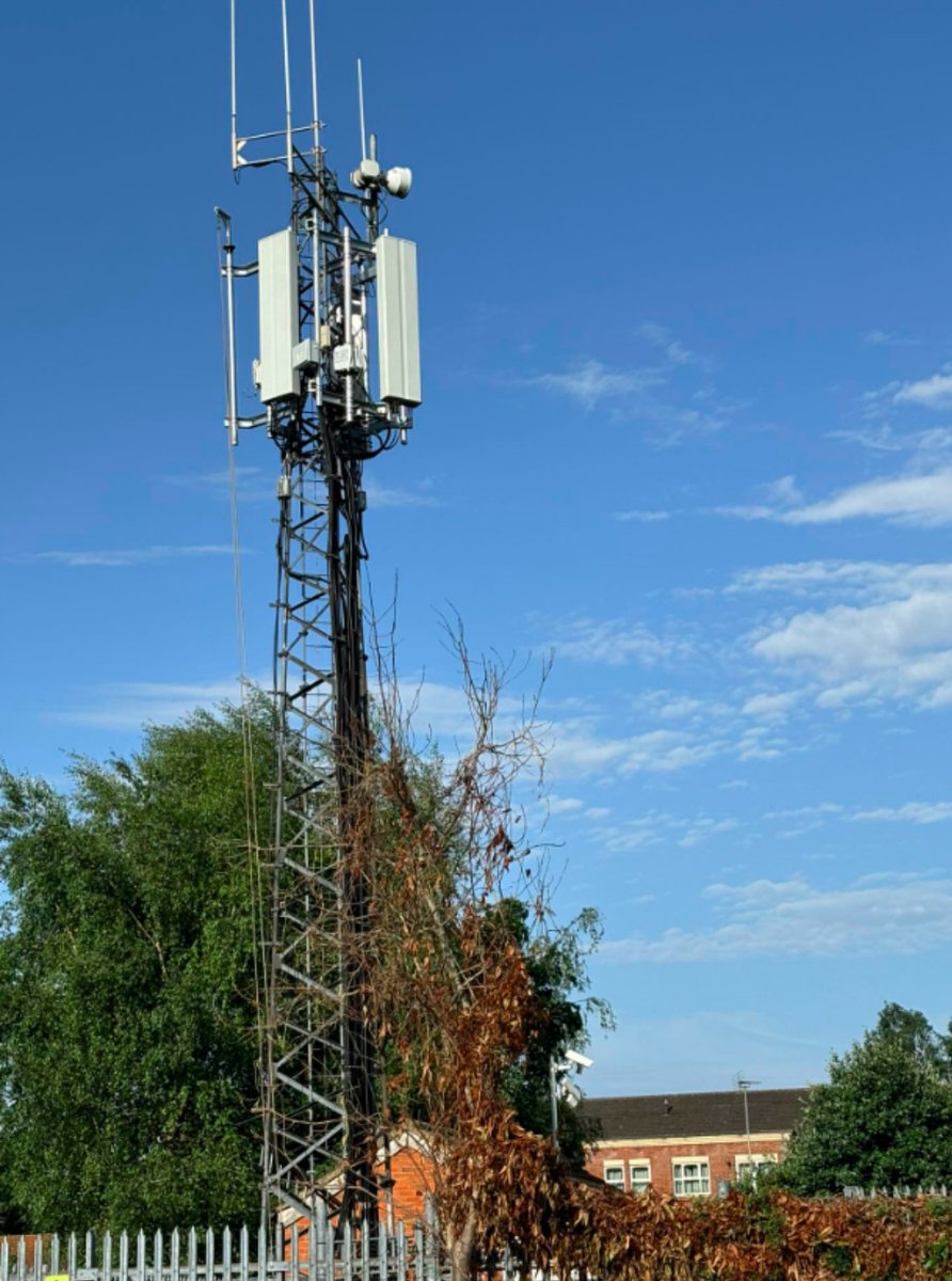 Note the tree adjacent to this 5G Tower is dying.