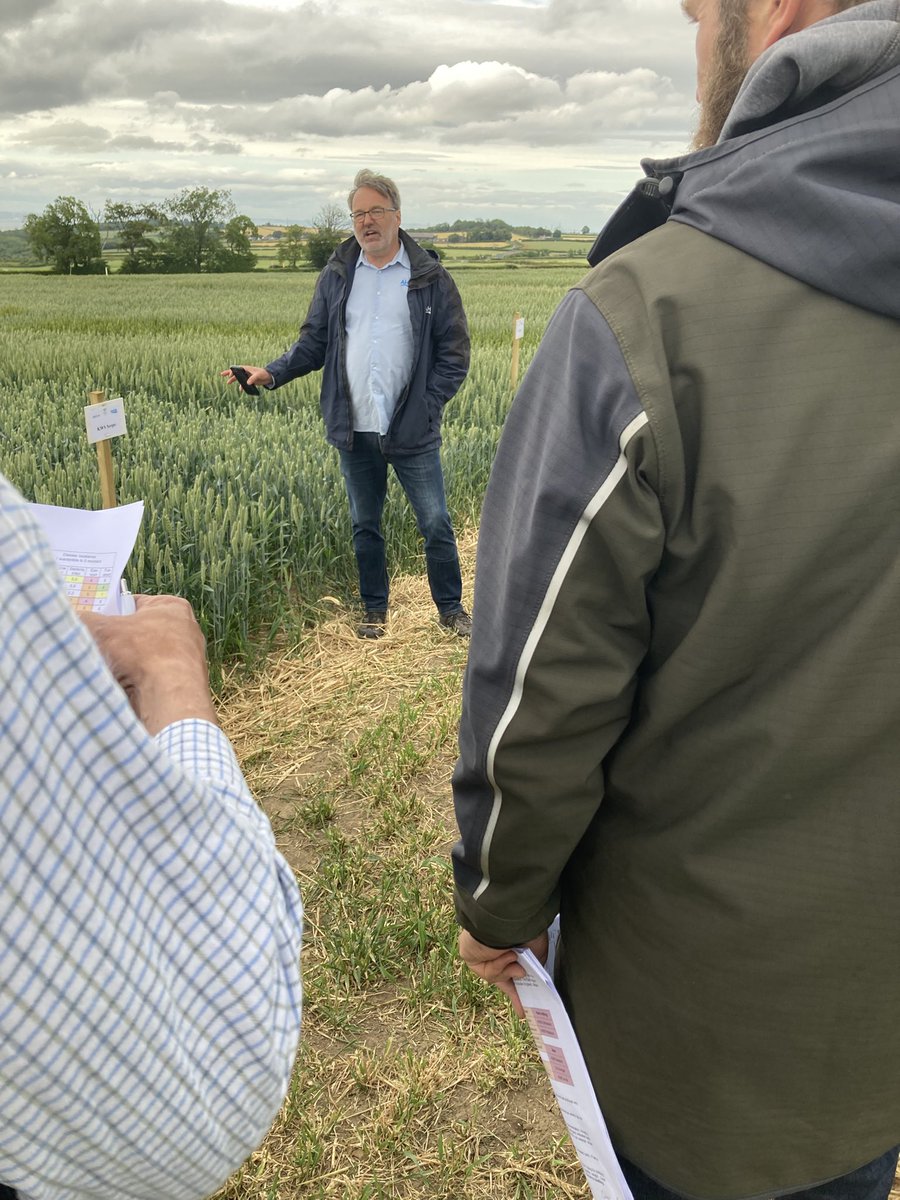 Part of <a href="/AHDB_Cereals/">AHDB Cereals</a> RL team Mark Bollebakker talking about the RL at tonight’s <a href="/SRUC/">SRUC</a> trials evening in East Lothian . If you want to catch-up with Mark again come along to AHDBs RL day at Balgonie in Fife on the 1st July  Book here ahdb.org.uk/events/recomme…