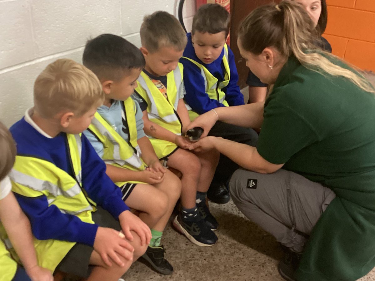 RabbitsClass's tweet photo. What a wonderful day! We had a fabulous trip and the Rabbits were fabulous ambassadors for our school. More photos to come soon. https://t.co/jtgh7fLvBm