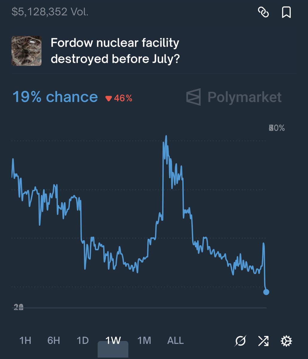 Polysights tweet media