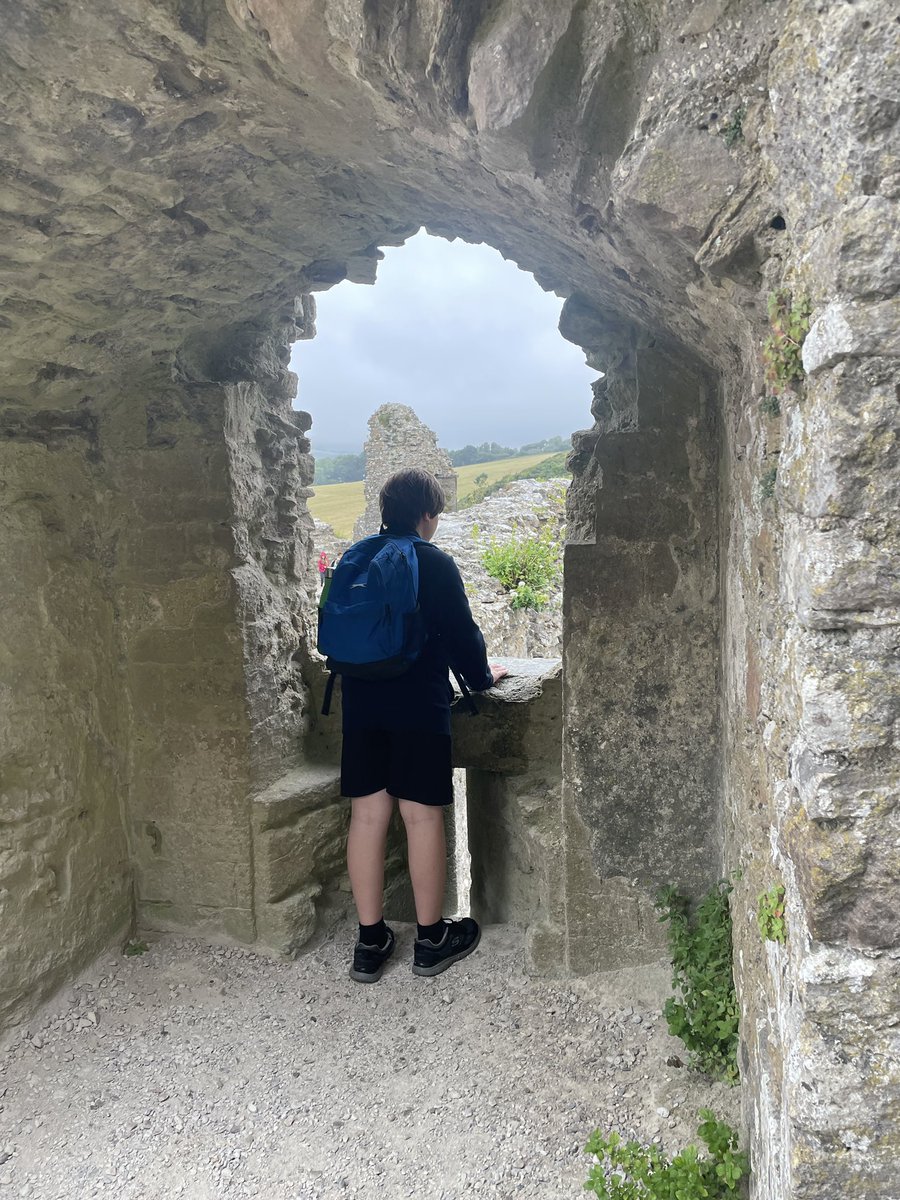 Miss Devlin tweet media