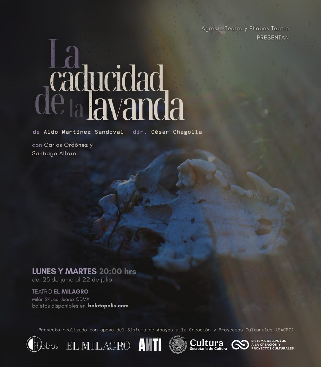 César Chagolla tweet media