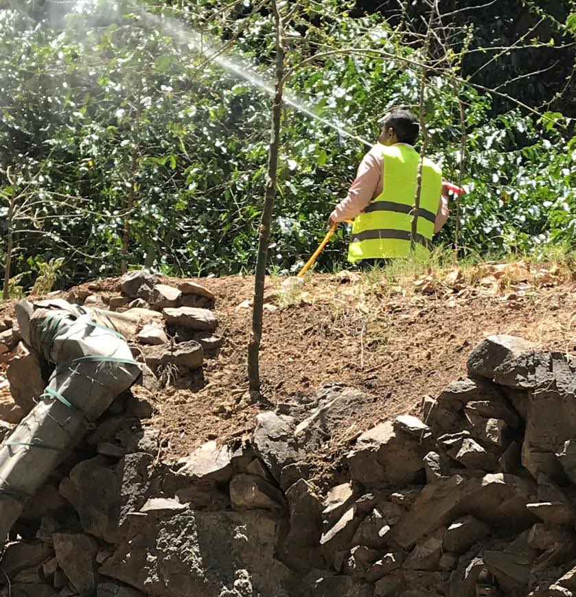 📢 بعد أيام من إعلان انطلاق حملة الرش الحديثة لمزارع البن،
يسرنا أن نشارككم هذا الإنجاز:

✅ تم رش أكثر من ٣٥ مزرعة
🌳 بعدد يفوق ١٠,٠٠٠ شجرة بن

 وسنواصل جهودنا في حماية المحاصيل ورفع جودة الإنتاج، ضمن خطة الجمعية لخدمة مزارعي البن والمساهمة في رفع جودة المحصول.

#البن_السعودي