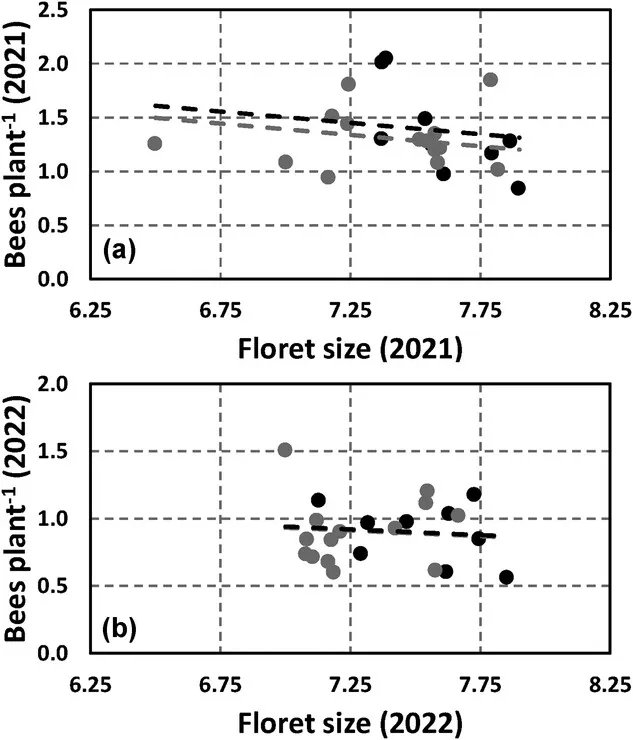 Do #WildBees prefer sweeter nectar or more of it? A new study in #sunflowers found 2 nectar types: high volume/low sugar vs. low volume/high sugar, but bees didn’t favor one over the other. Some lines were preferred, but not for nectar alone! #Pollinator