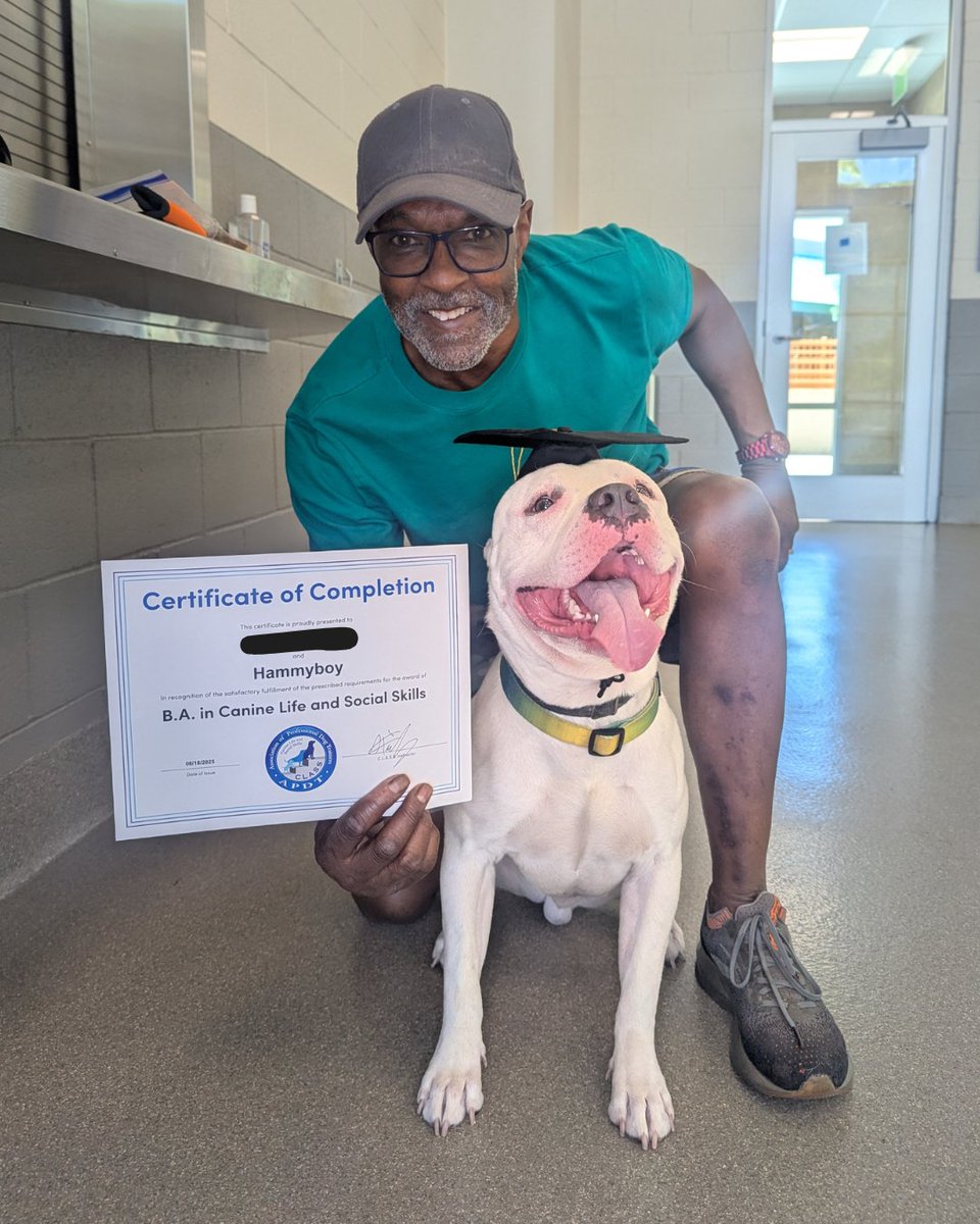Look how PROUD Hammyboy is after completing our Bark to Basics training class!

If your dog needs a manners makeover, sign up for our low-cost, 5-week class! It’s $150 (20% off if you adopted from us).

Sign up for our next round of classes in July: bit.ly/4gjRpn9