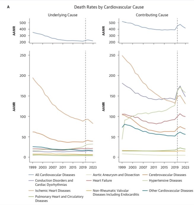 Our new study in <a href="/JACCJournals/">JACC Journals</a> led by <a href="/BYan415/">Brandon Yan, MD MPH</a> highlights that hypertension (as a primary cause of death) age-adjusted death rate doubled from 15.8 per 100,000 in 1999 to 31.9 in 2023.  Striking given that overall cardiovascular mortality and basically all other sub-causes have