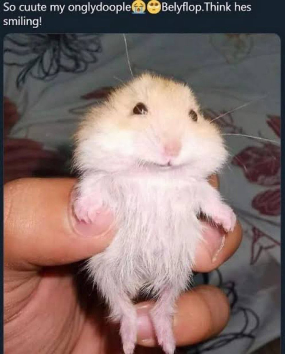 does anyone wanma be mutuals on airbuds