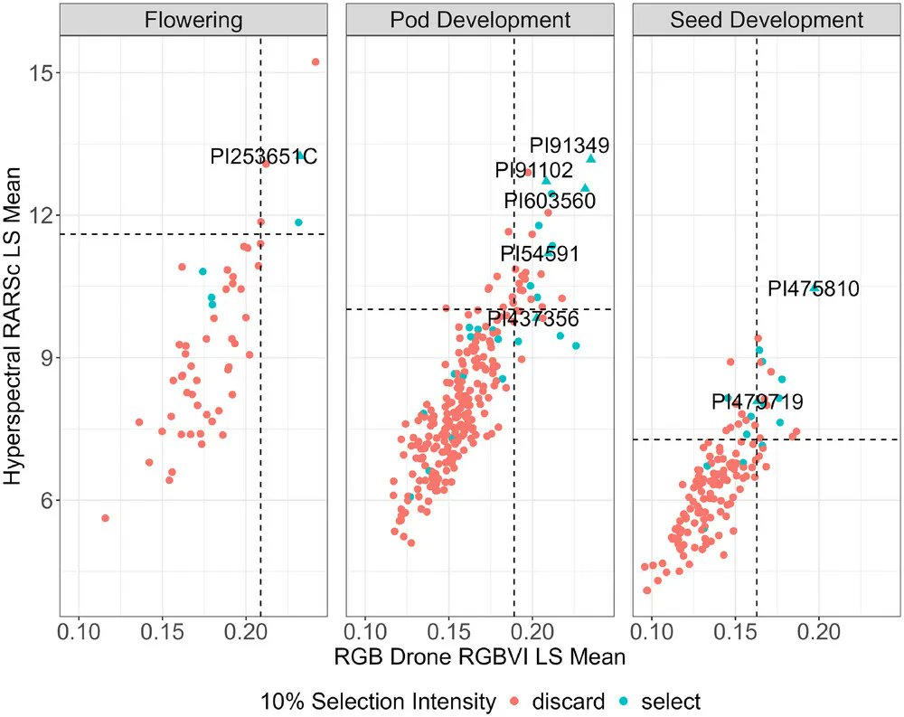 In a new study, 450 early maturity #soybean accessions in Iowa were screened using #drones &amp; sensors. #RGBVI matched breeder picks, highlighting top #drought-tolerant lines. #OpenAccess
Read: doi.org/10.1002/csc2.7…