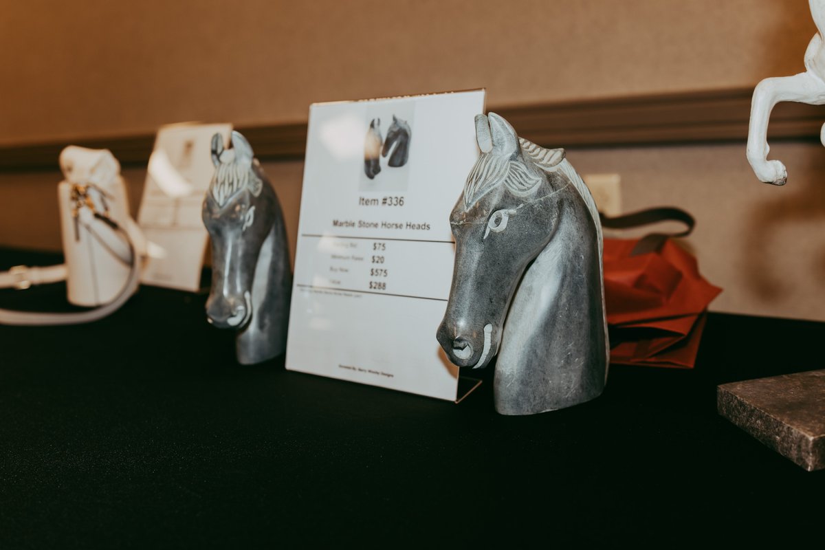 Unbridled_Eve's tweet image. From luxury getaways to one-of-a-kind finds, our silent auction had something for everyone. Thank you to our donors and bidders for making it a standout part of the night!

#UE25 #UnbridledEve #SilentAuction #UniqueItems #givingback