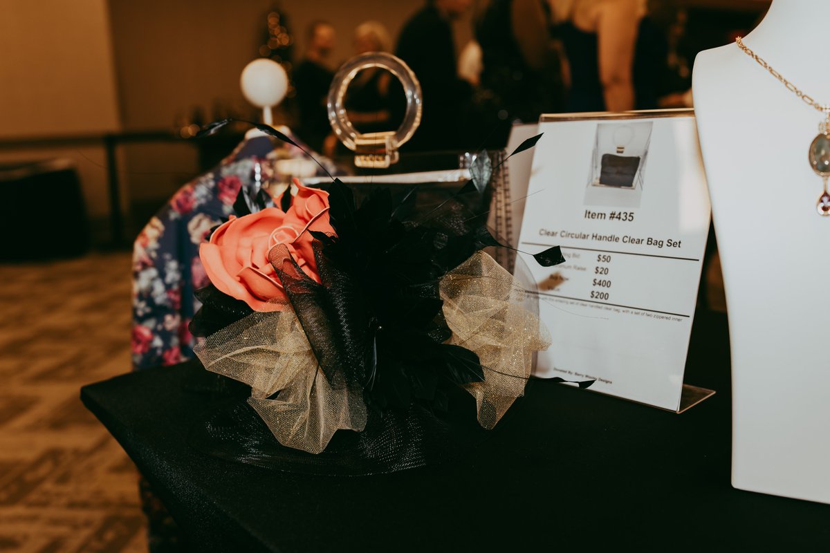Unbridled_Eve's tweet image. From luxury getaways to one-of-a-kind finds, our silent auction had something for everyone. Thank you to our donors and bidders for making it a standout part of the night!

#UE25 #UnbridledEve #SilentAuction #UniqueItems #givingback