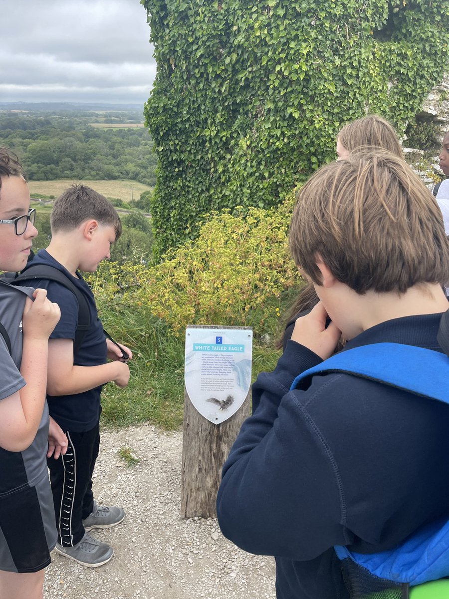 Miss Devlin tweet media