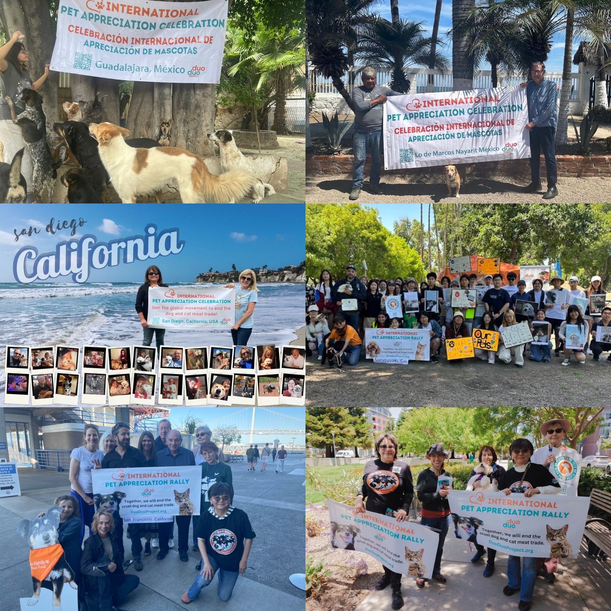 StopEatingDogs_'s tweet photo. International #PetAppreciation Celebrations happened in 10 cities around the world: Beijing, Taipei, Tokyo, London, Cocula, Guadalajara, Lo de Marcos, San Diego, Sunnyvale, & San Francisco ❤️🐾
#EndDogAndCatMeatTrade #StopYulinFestival #DuoDuoProject https://t.co/tjMaKPJq4H